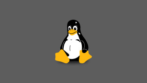 Read more about the article Linux